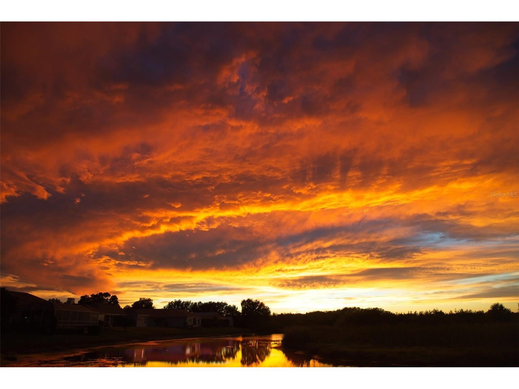 8472 Maybelle Drive Weeki Wachee FL 34613 TB8435233 image48