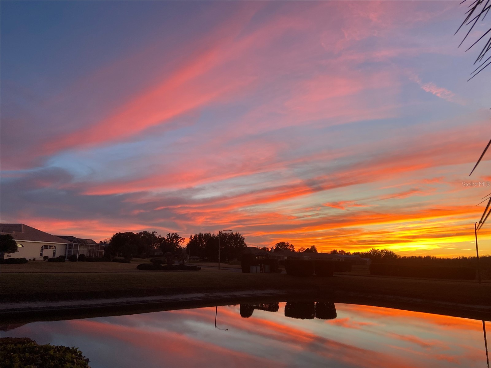 8472 Maybelle Drive Weeki Wachee FL 34613 TB8435233 image7