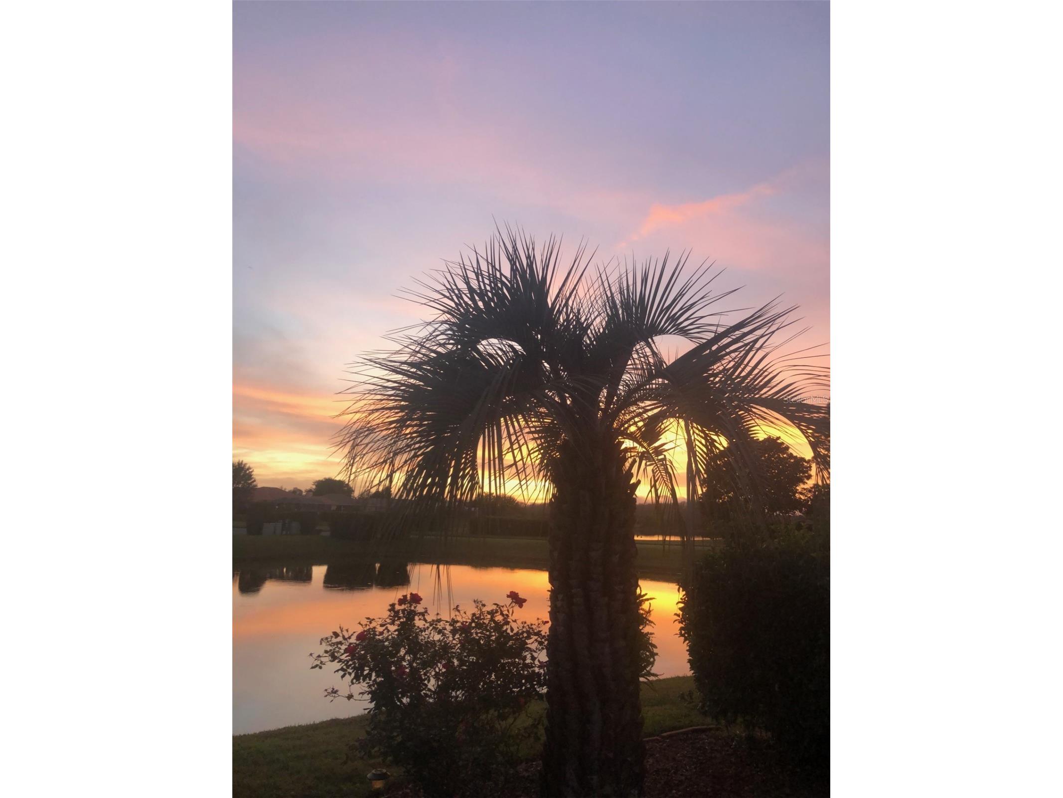 8472 Maybelle Drive Weeki Wachee FL 34613 TB8435233 image8