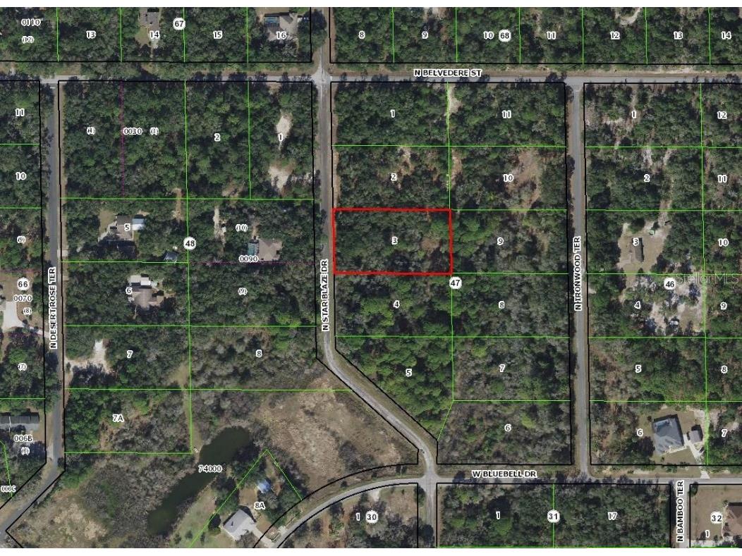 8473 N Star Blaze Drive Crystal River FL 34428 TB8432761 image2