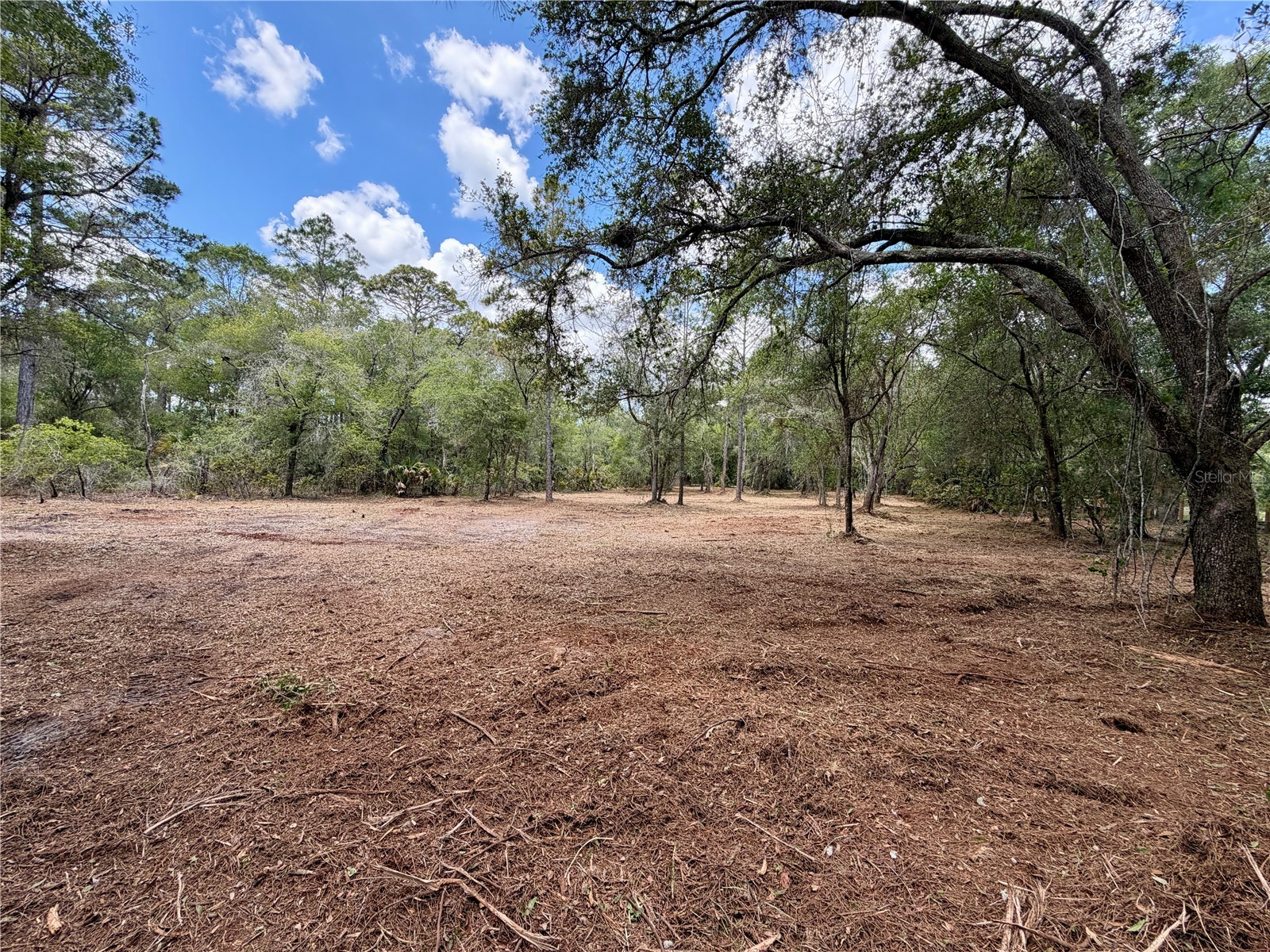 8473 N Star Blaze Drive Crystal River FL 34428 TB8516219 image10