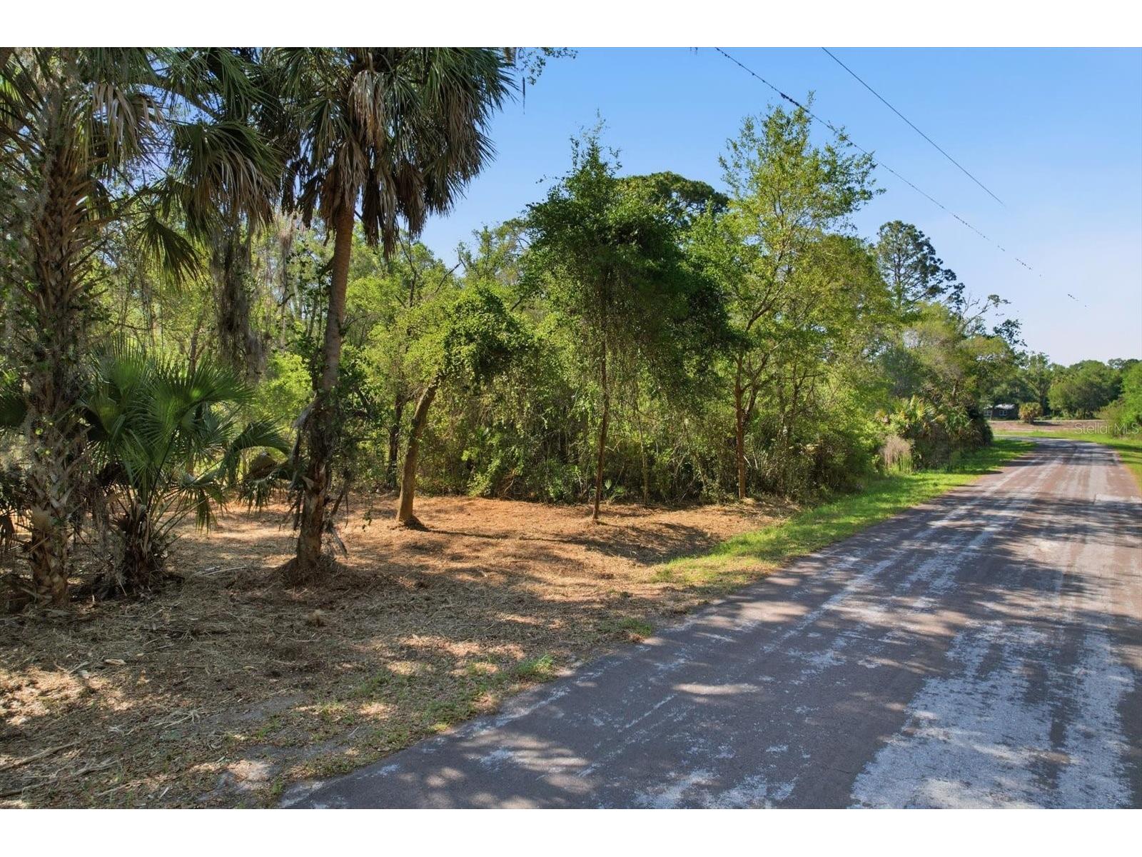 8473 N Star Blaze Drive Crystal River FL 34428 TB8516219 image6