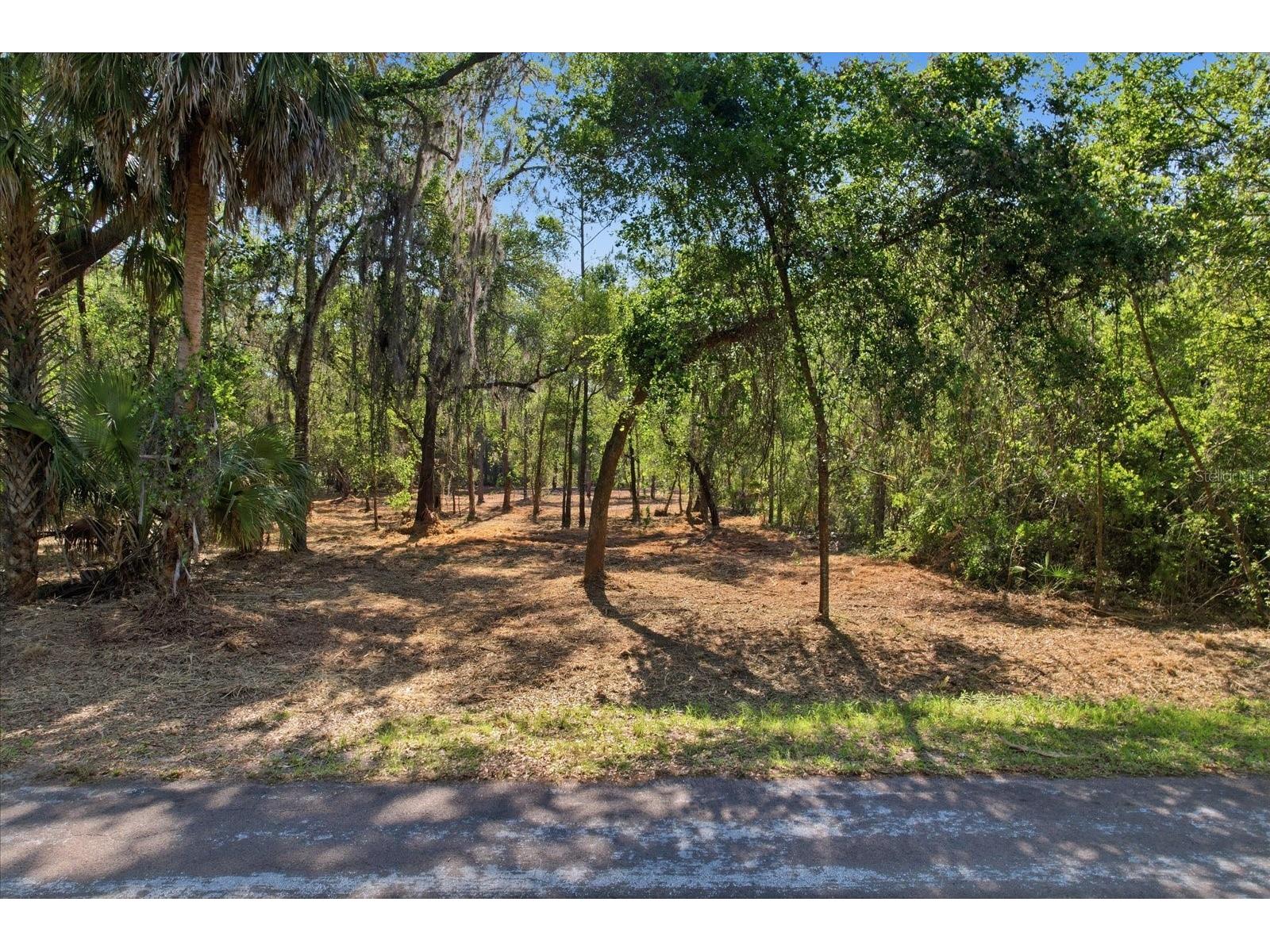 8473 N Star Blaze Drive Crystal River FL 34428 TB8516219 image7