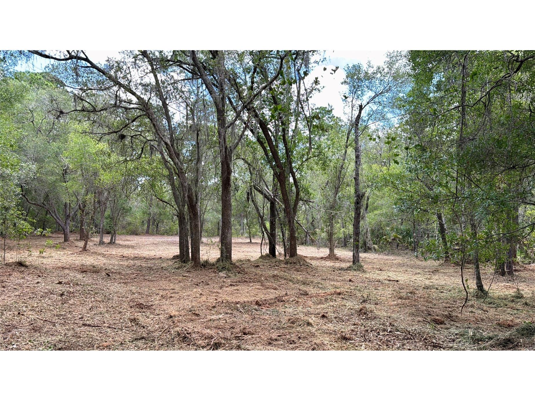 8473 N Star Blaze Drive Crystal River FL 34428 TB8516219 image8