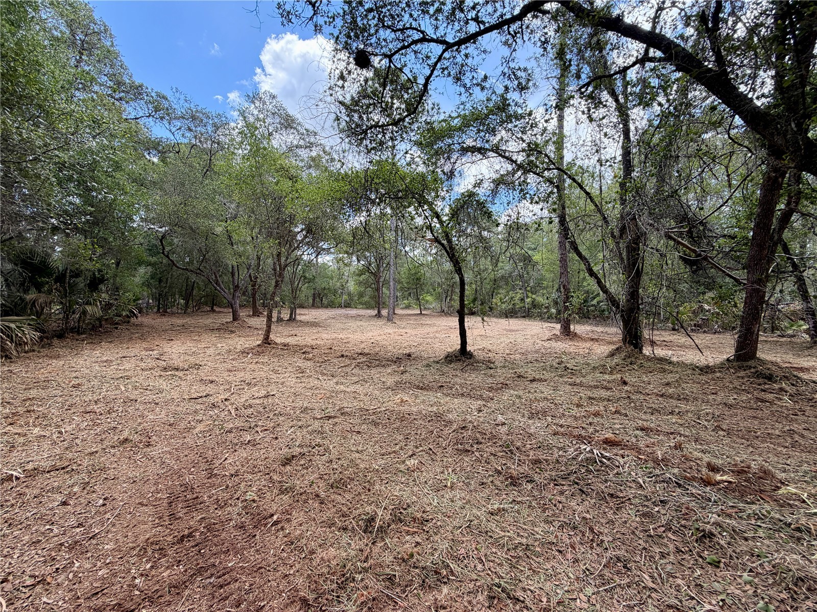 8473 N Star Blaze Drive Crystal River FL 34428 TB8516219 image9