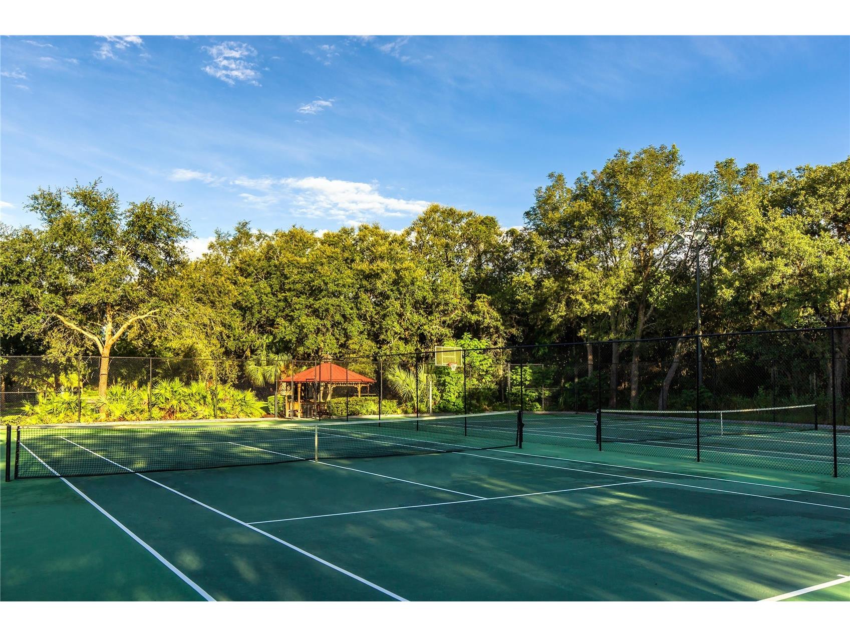 8474 Crystal Cove Loop Kissimmee FL 34747 O6408934 image60