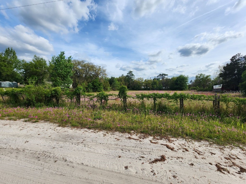 8474 SW 146th Place Dunnellon FL 34432 T3518222 image1