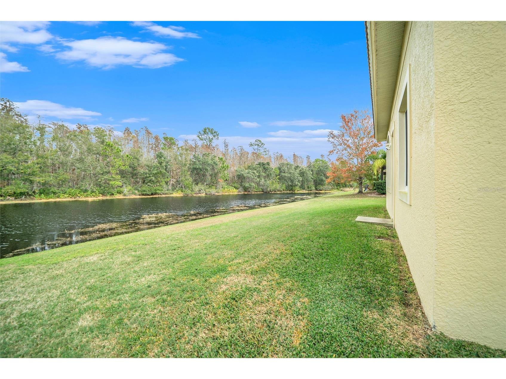 8478 Dunham Station Drive Tampa FL 33647 TB8499829 image21