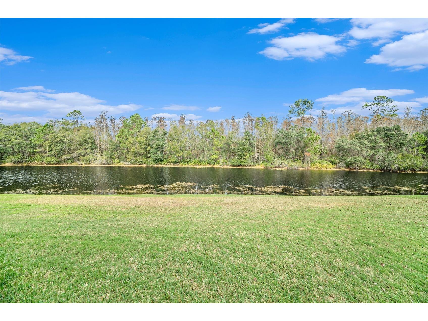 8478 Dunham Station Drive Tampa FL 33647 TB8499829 image23