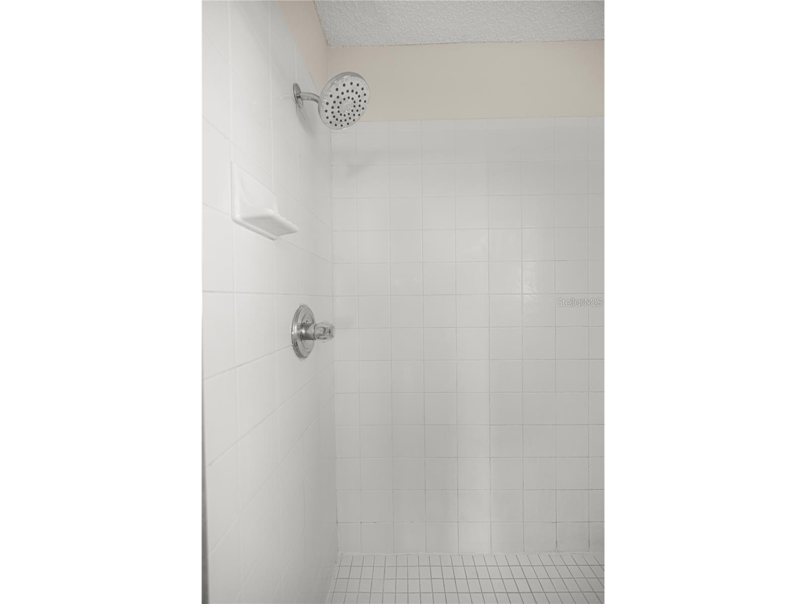 8478 SW 61st Terrace Road Ocala FL 34476 OM725856 image16