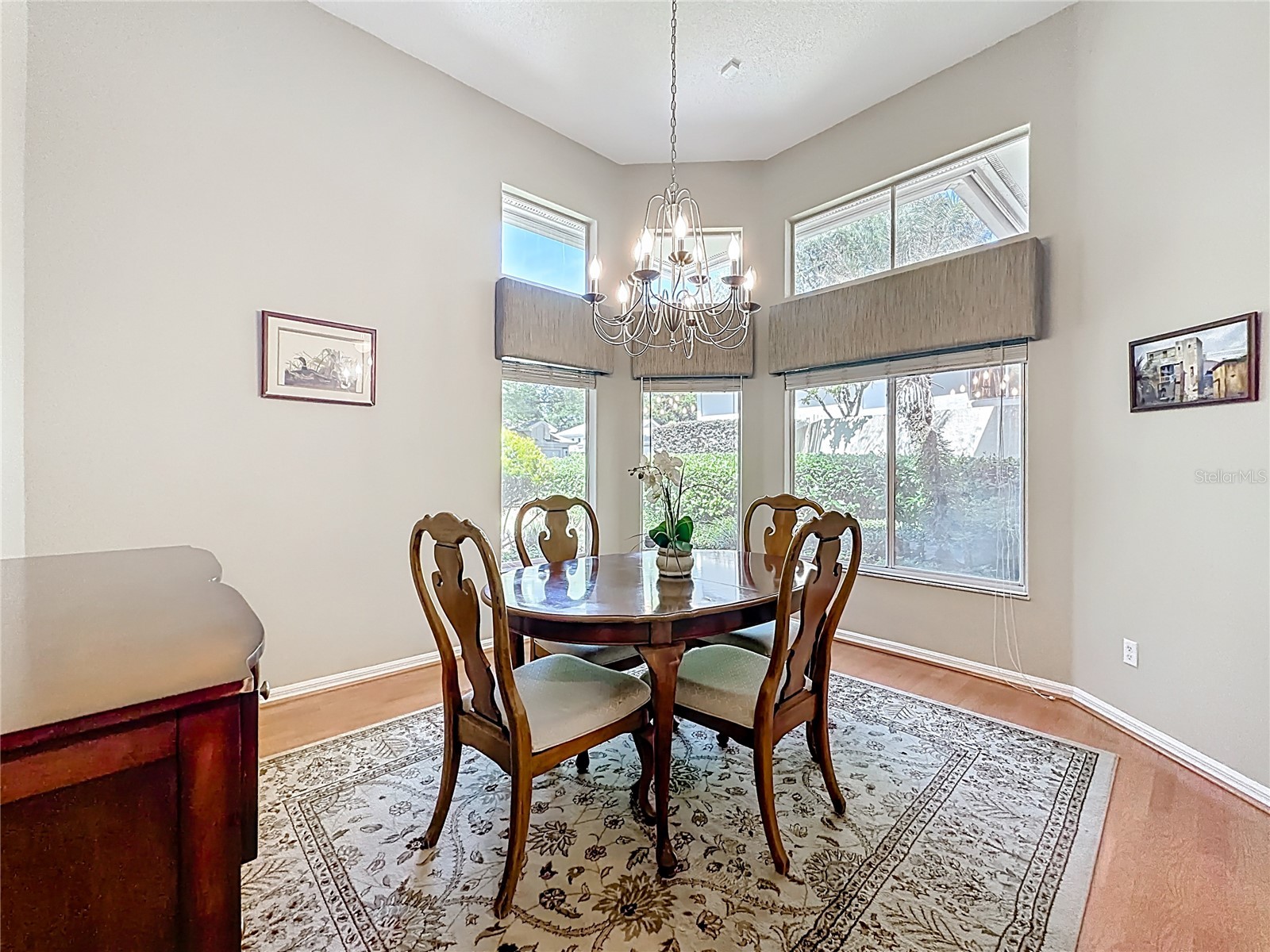 848 Crepe Myrtle Circle Apopka FL 32712 A4690201 image3