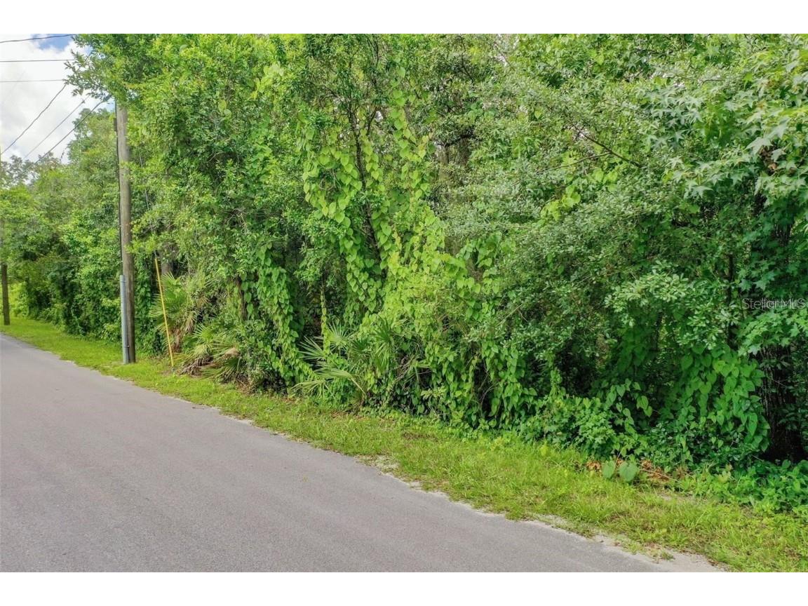 848 Hamilton Drive Orlando FL 32833 O6270643 image3