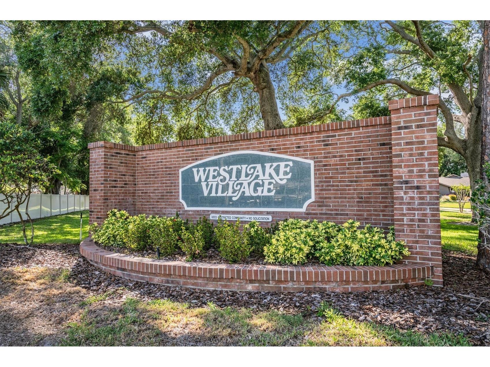848 Hillside Drive Palm Harbor FL 34683 TB8501725 image44