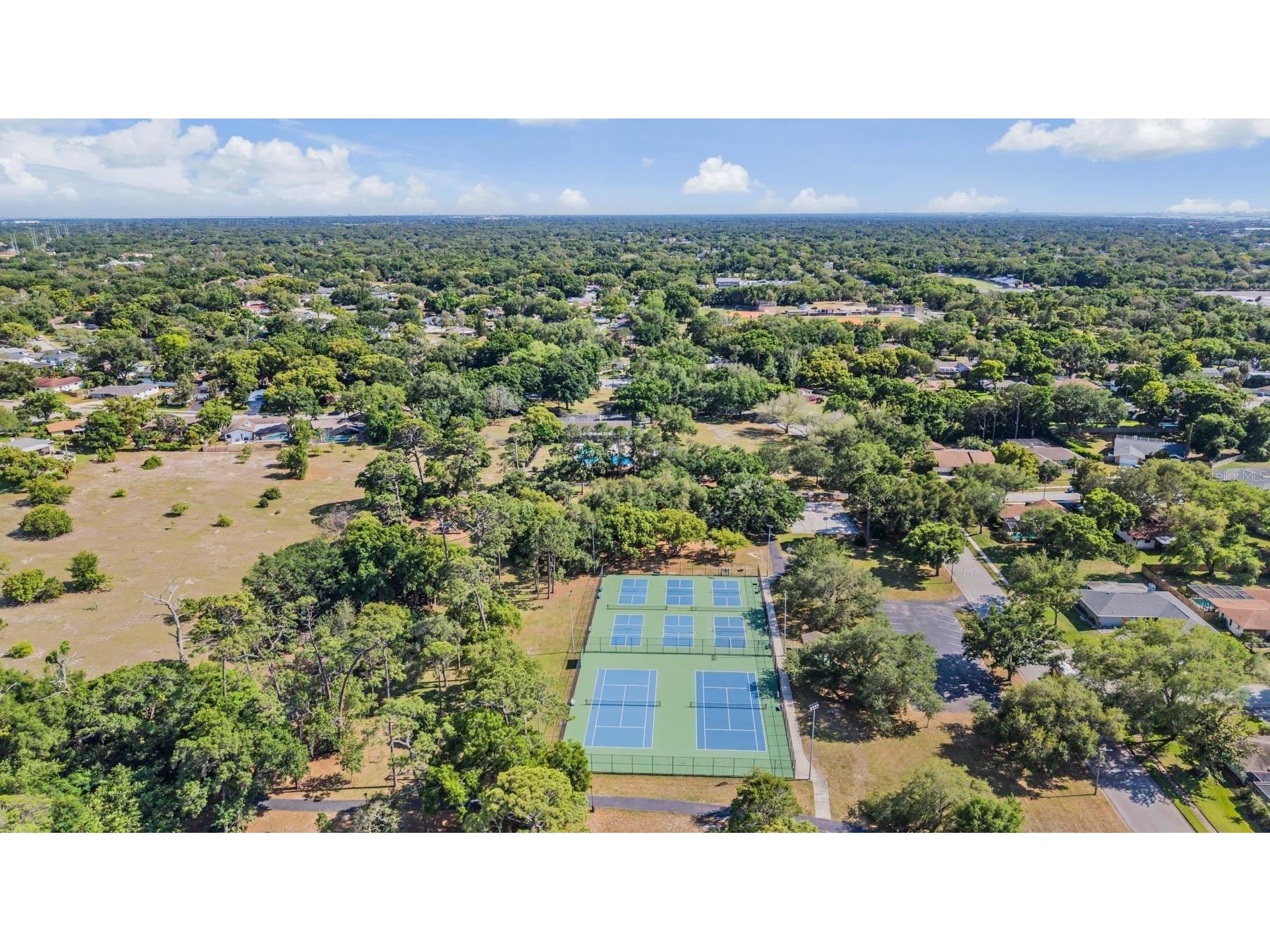 848 Hillside Drive Palm Harbor FL 34683 TB8501725 image49