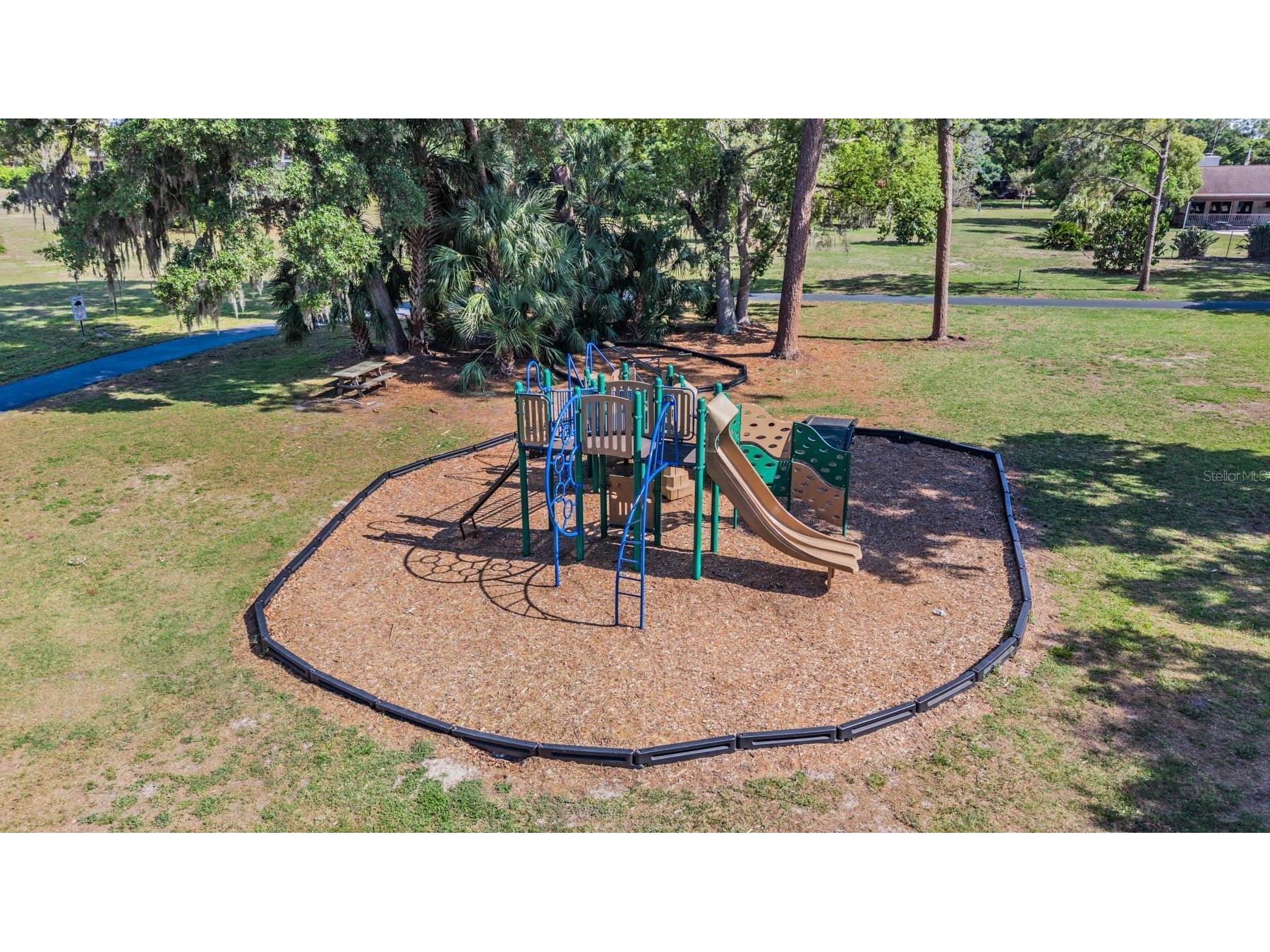 848 Hillside Drive Palm Harbor FL 34683 TB8501725 image50