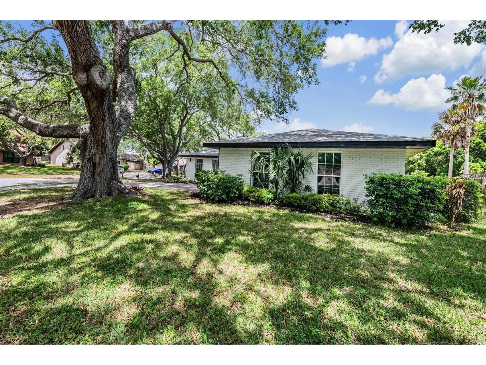 848 Hillside Drive Palm Harbor FL 34683 TB8501725 image51