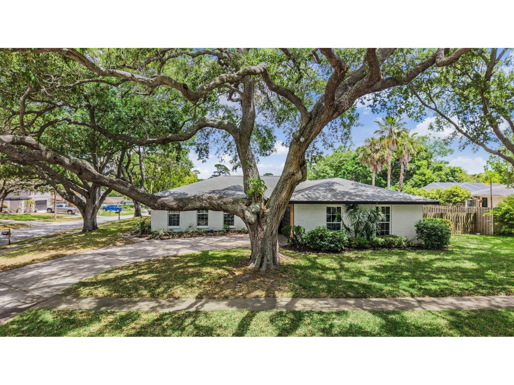 848 Hillside Drive Palm Harbor FL 34683 TB8501725 image54