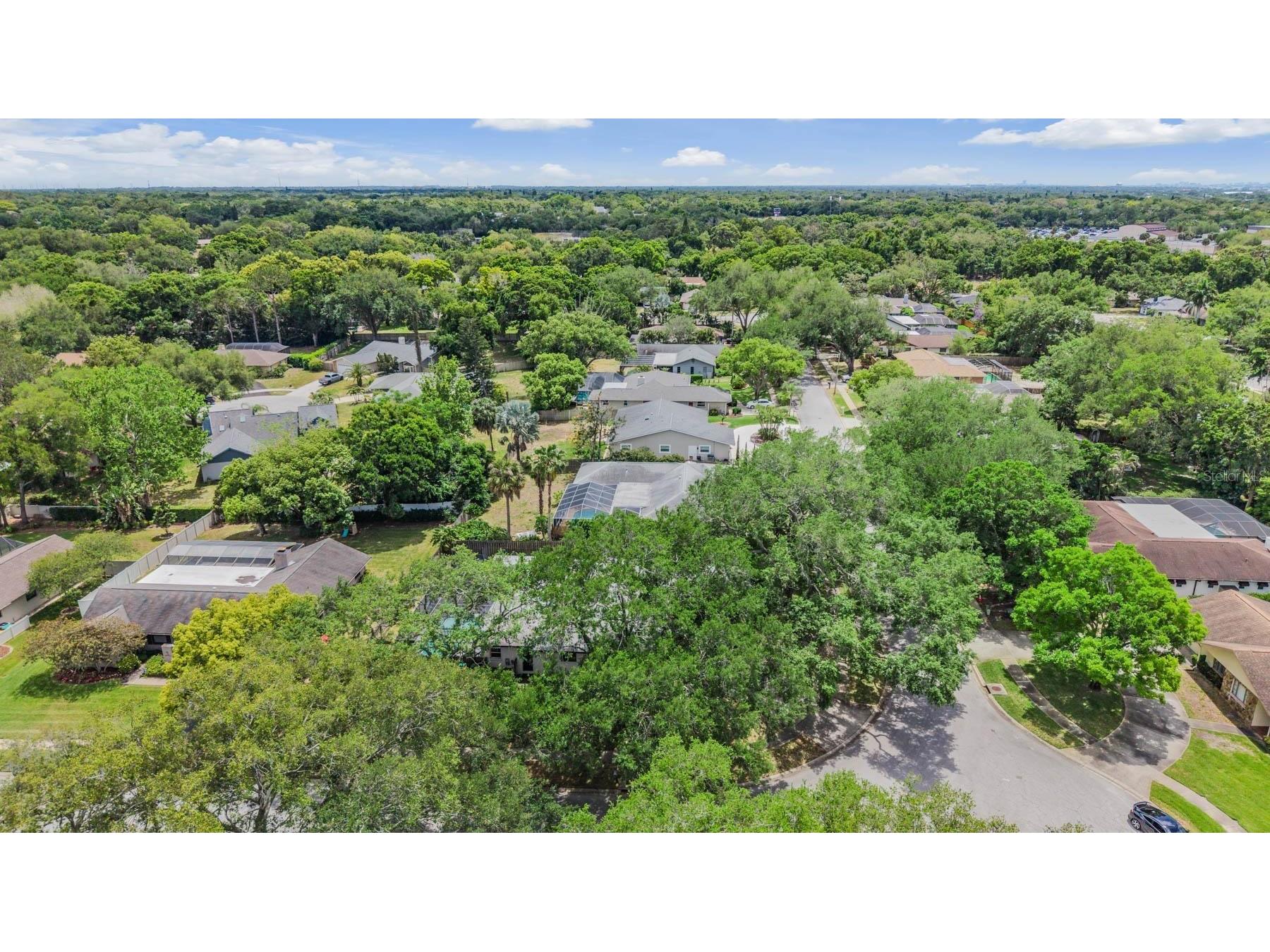 848 Hillside Drive Palm Harbor FL 34683 TB8501725 image56