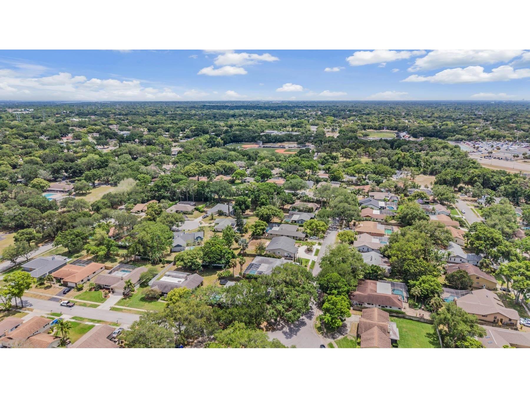 848 Hillside Drive Palm Harbor FL 34683 TB8501725 image57