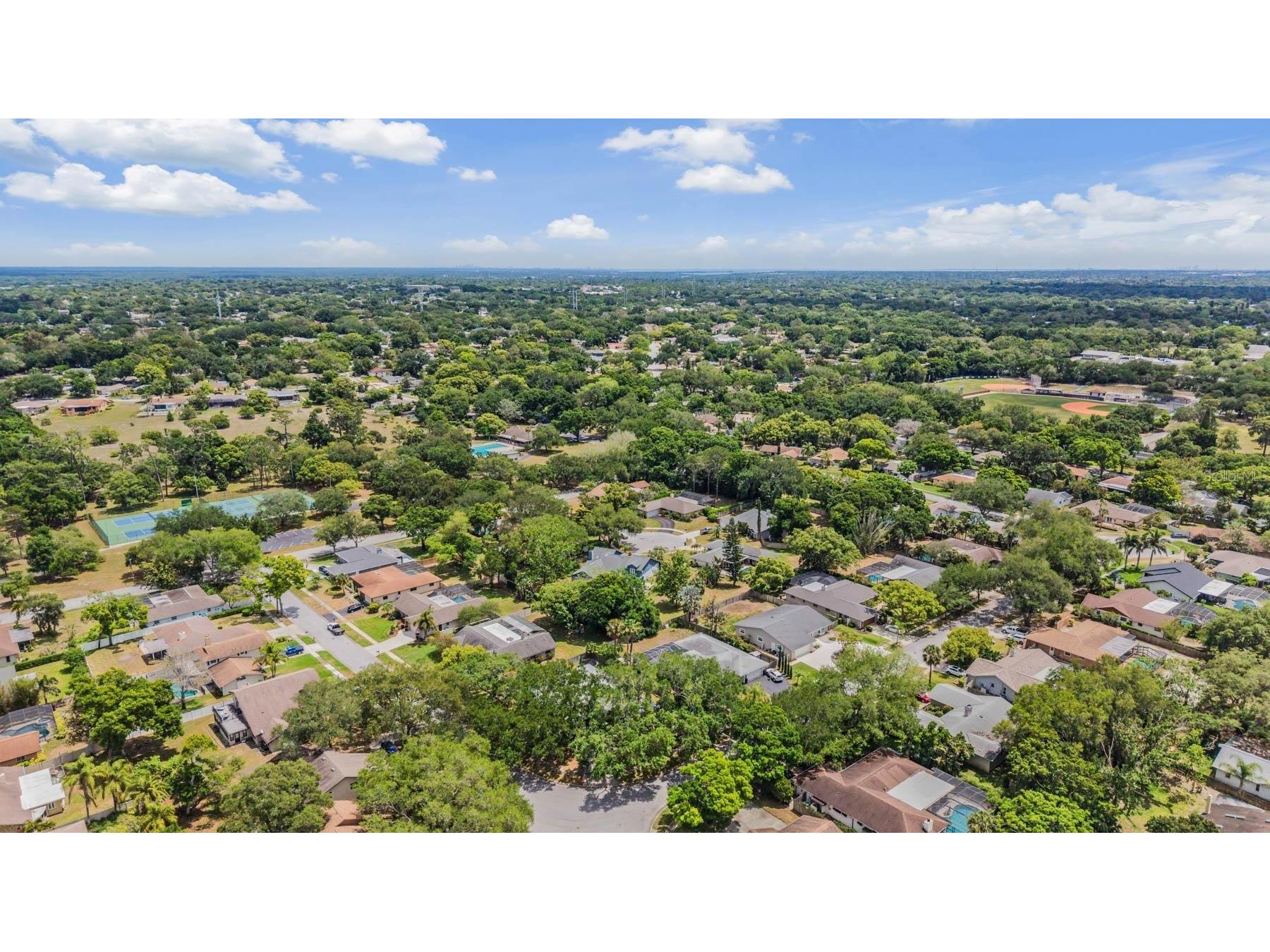 848 Hillside Drive Palm Harbor FL 34683 TB8501725 image58