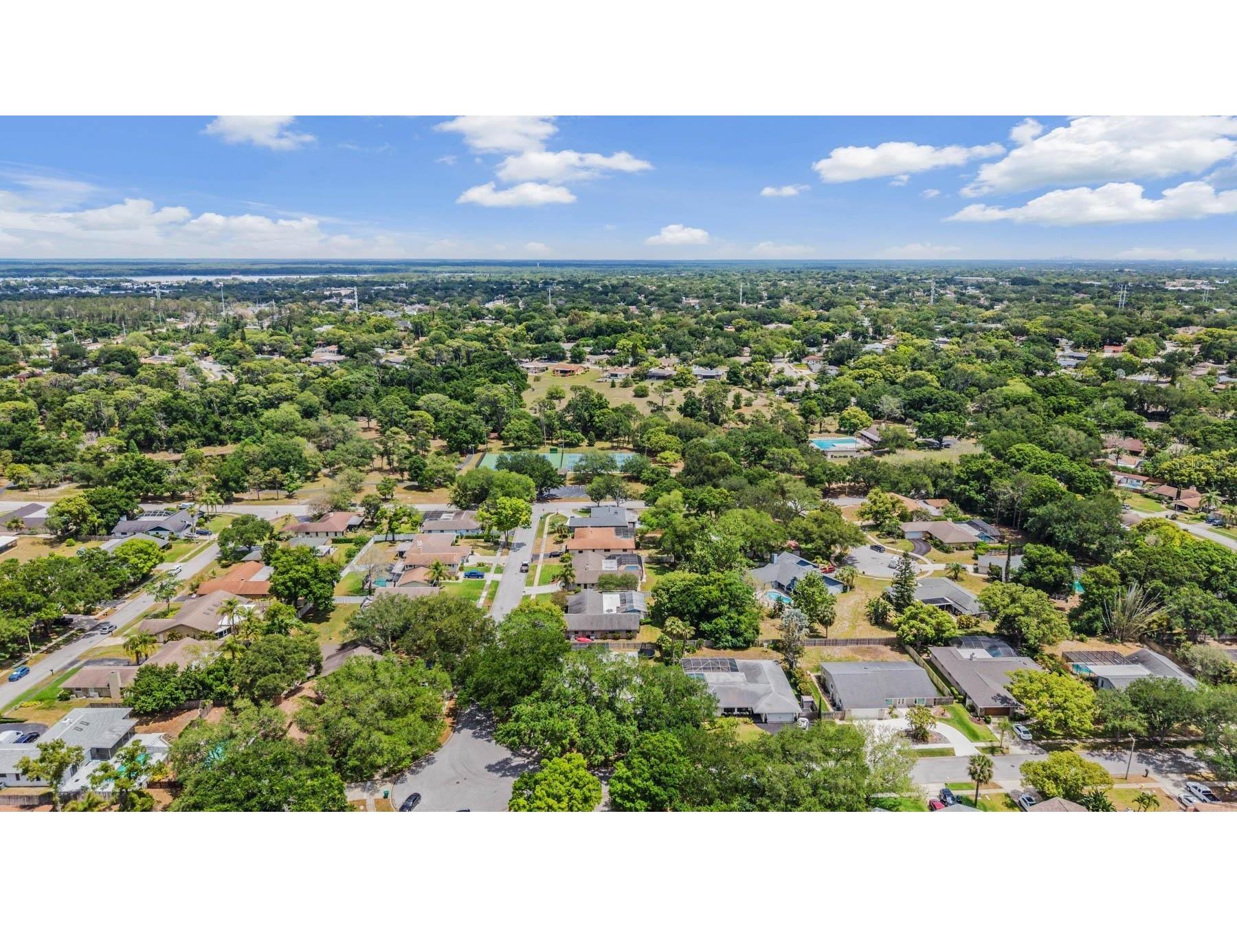 848 Hillside Drive Palm Harbor FL 34683 TB8501725 image59