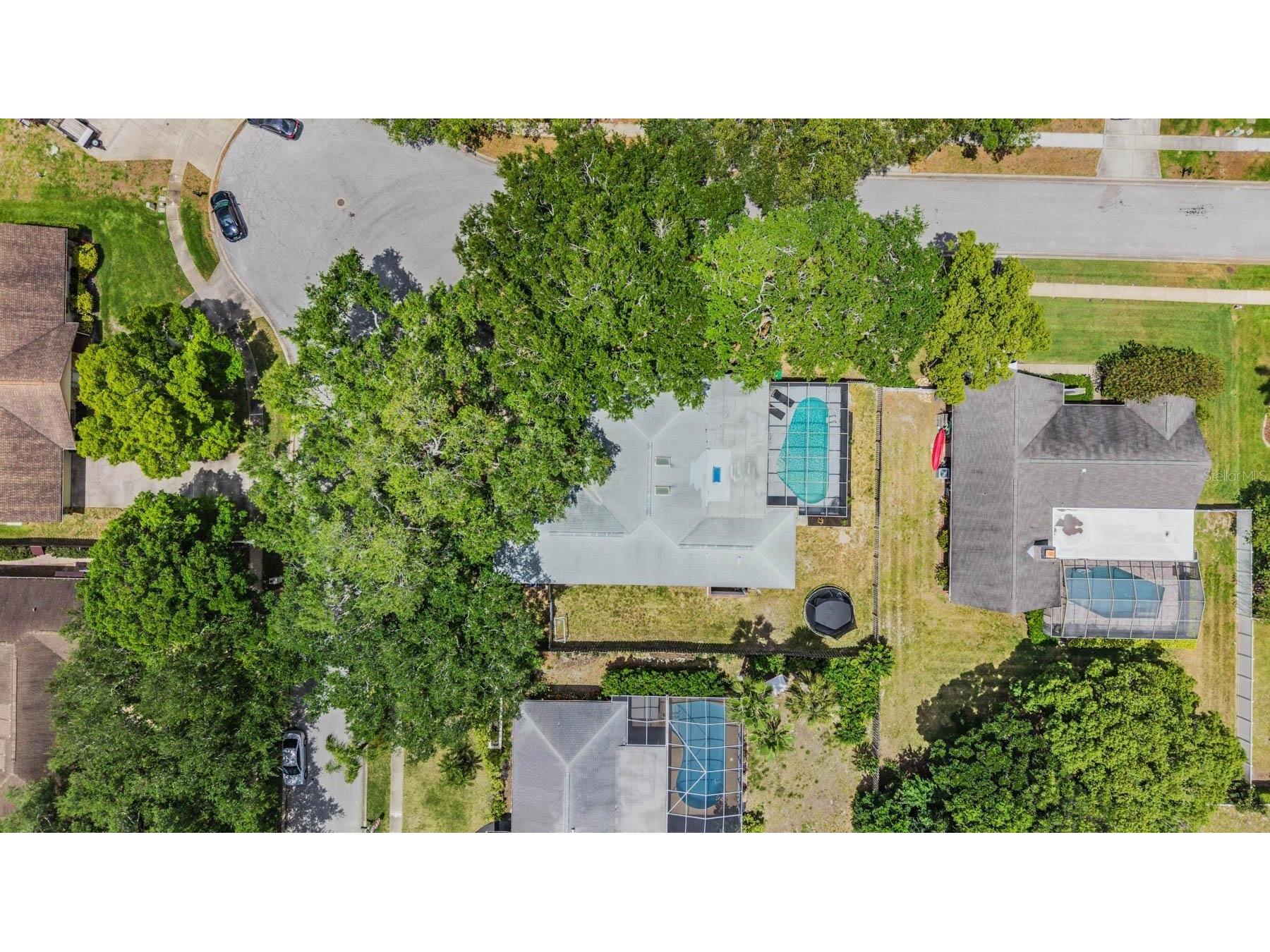 848 Hillside Drive Palm Harbor FL 34683 TB8501725 image60