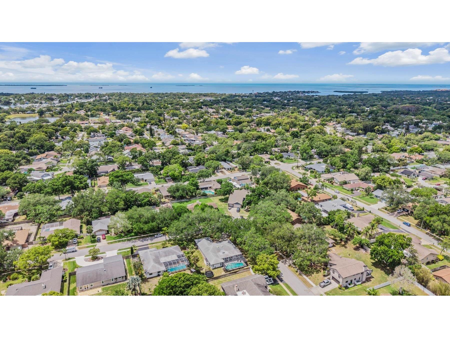 848 Hillside Drive Palm Harbor FL 34683 TB8501725 image61