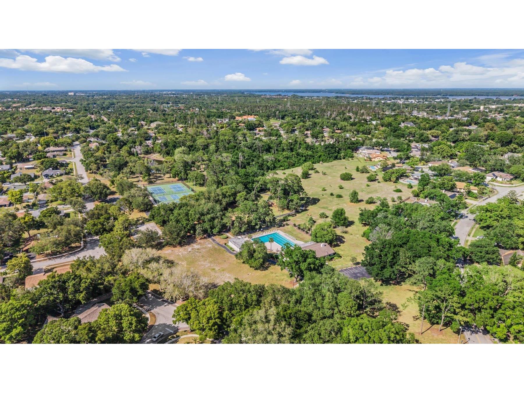 848 Hillside Drive Palm Harbor FL 34683 TB8501725 image62