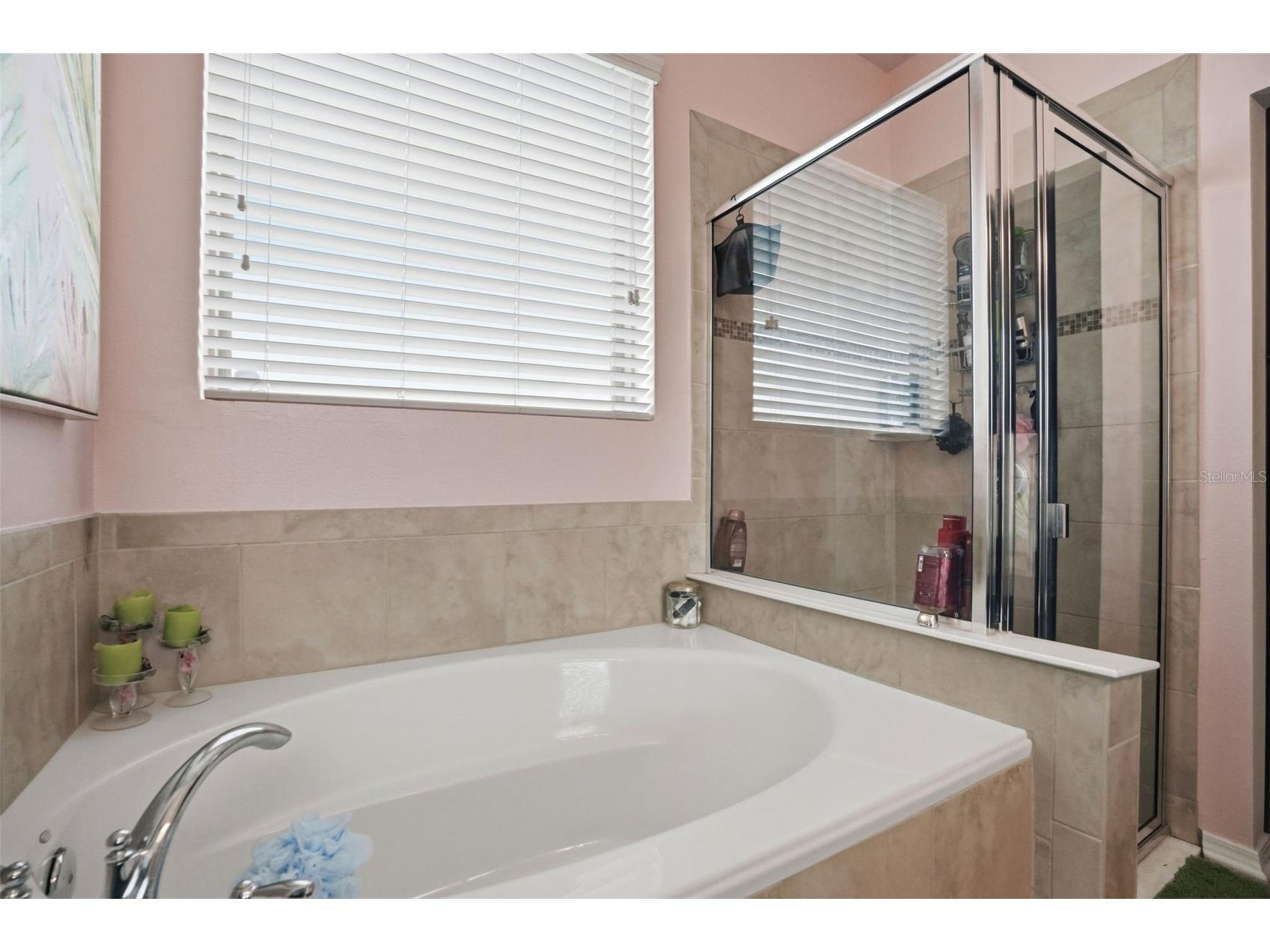 848 Petal Mist Lane Brooksville FL 34604 W7884523 image24