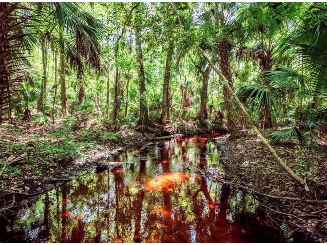 848 S Cr 21 Hawthorne FL 32640 - LITTLE ORANGE CREEK OM660676 image1
