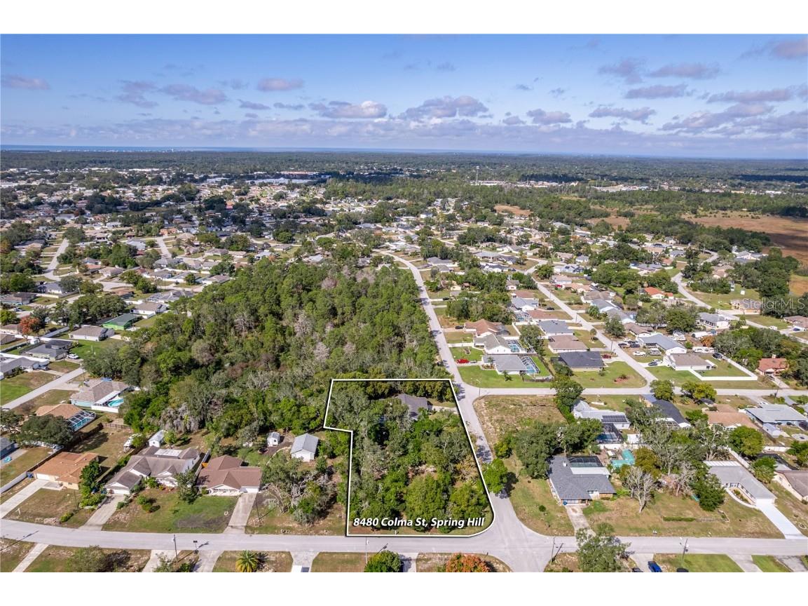 8480 Colma Street Spring Hill FL 34606 W7880243 image10