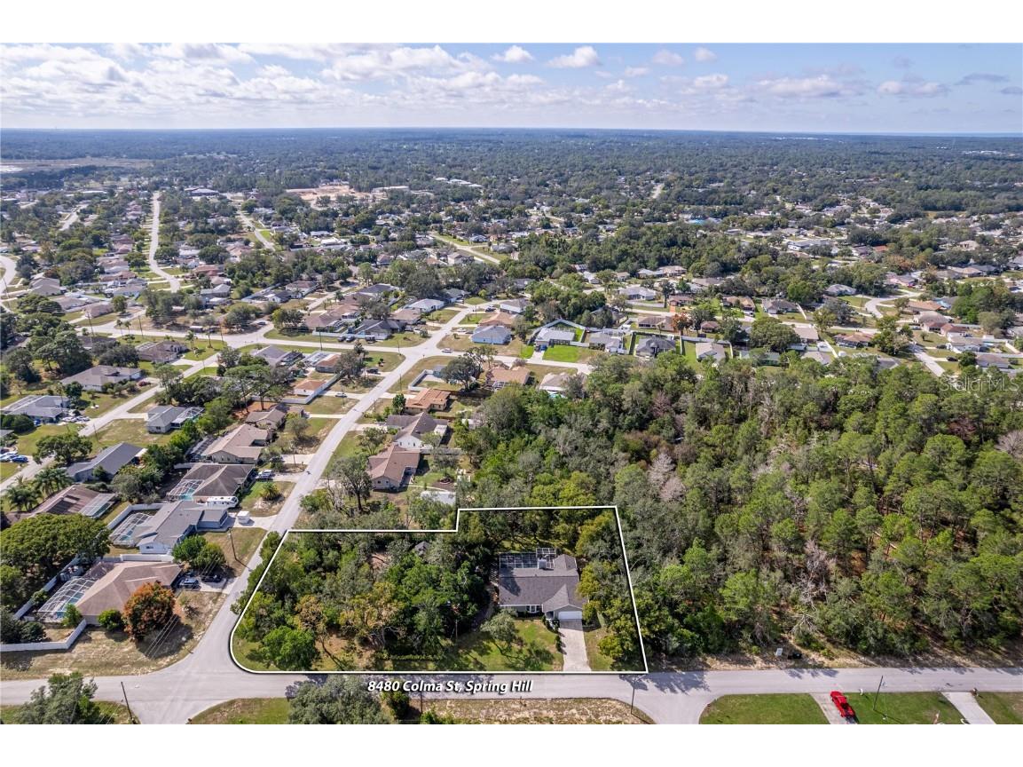 8480 Colma Street Spring Hill FL 34606 W7880243 image3
