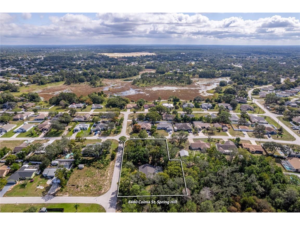 8480 Colma Street Spring Hill FL 34606 W7880243 image32