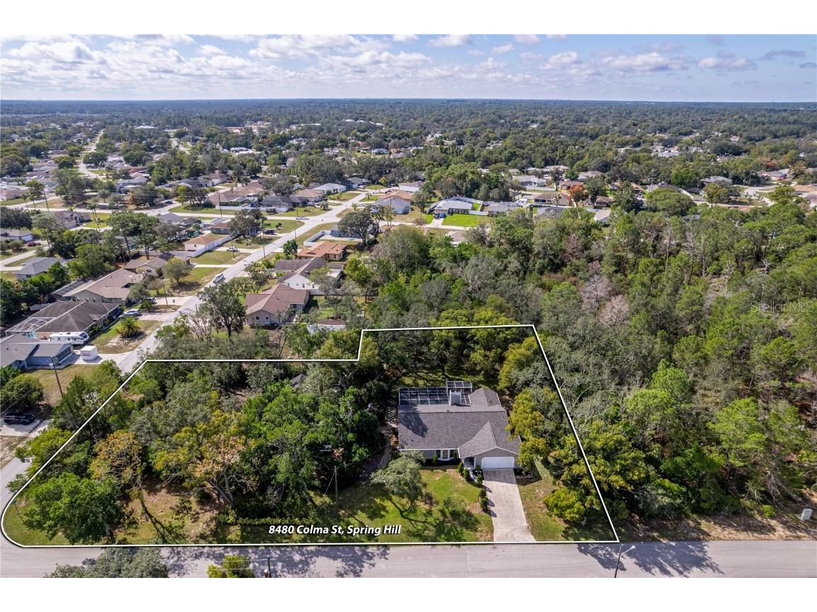 8480 Colma Street Spring Hill FL 34606 W7880243 image46