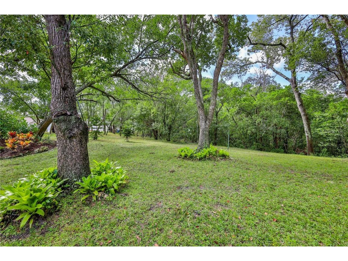 8480 Colma Street Spring Hill FL 34606 W7880243 image58