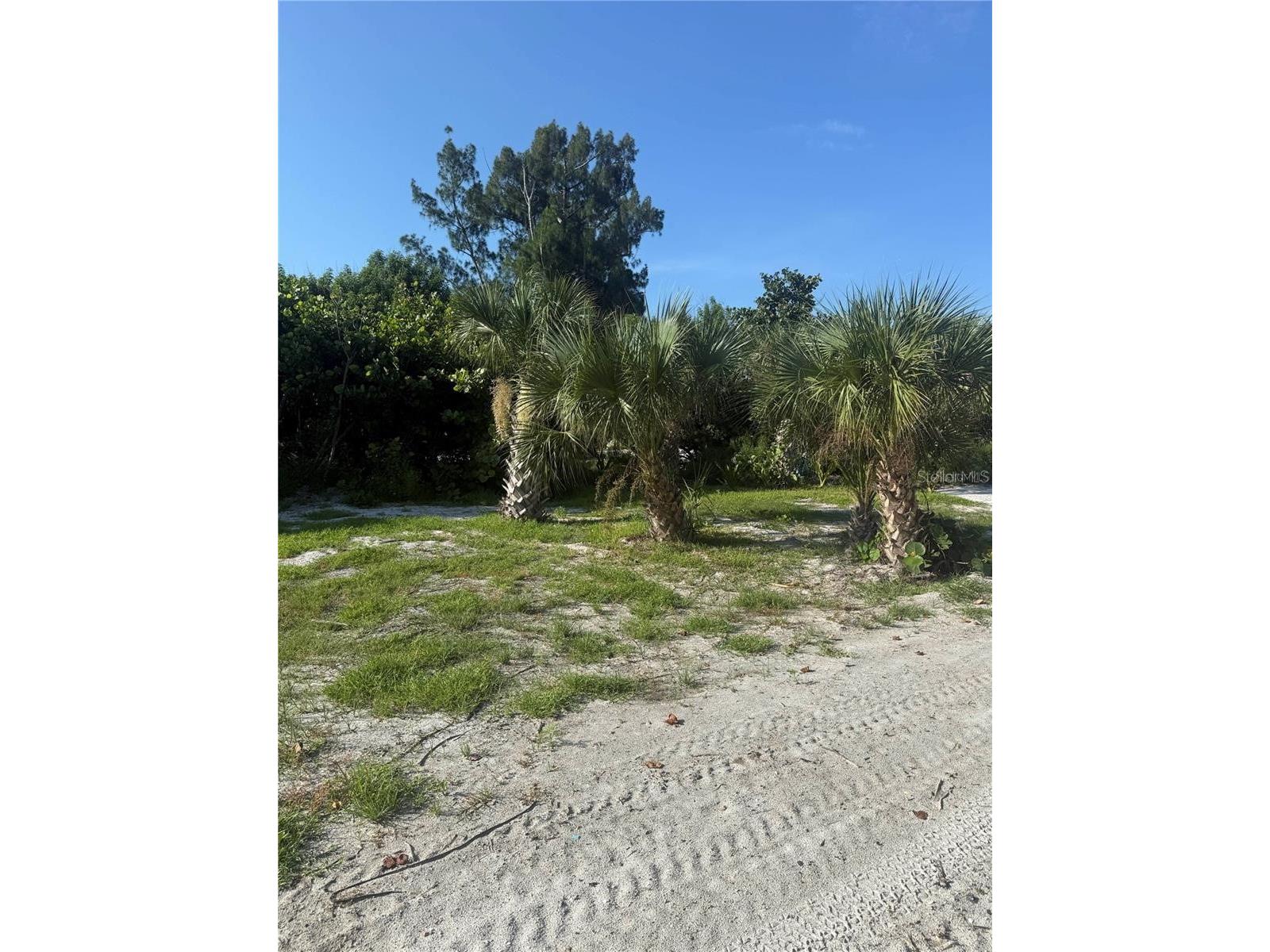 8480 Little Gasparilla Island Placida FL 33946 D6147086 image11