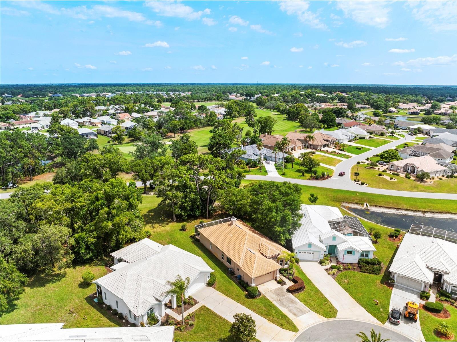 8480 Maybelle Drive Weeki Wachee FL 34613 TB8417651 image27