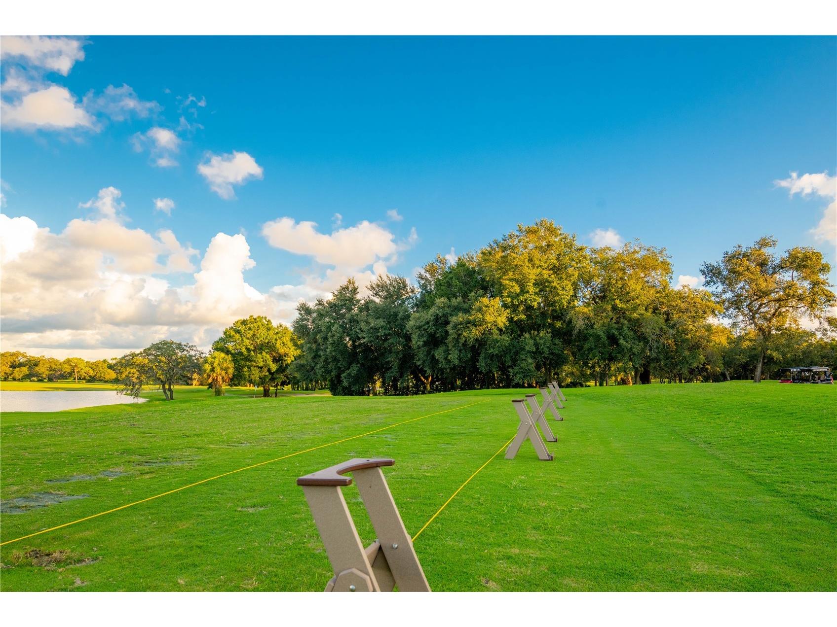 8480 Maybelle Drive Weeki Wachee FL 34613 TB8417651 image44