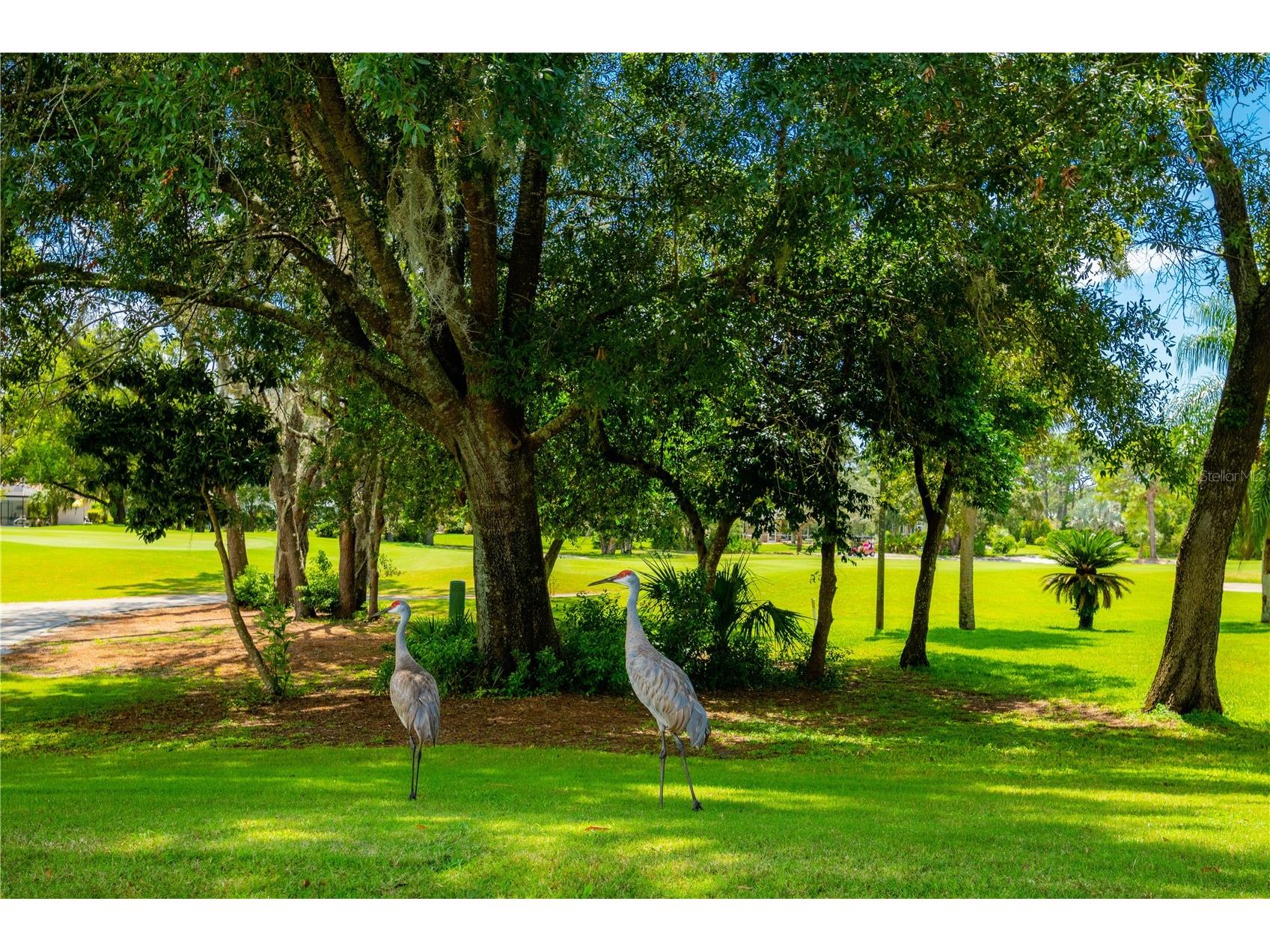 8480 Maybelle Drive Weeki Wachee FL 34613 TB8417651 image45