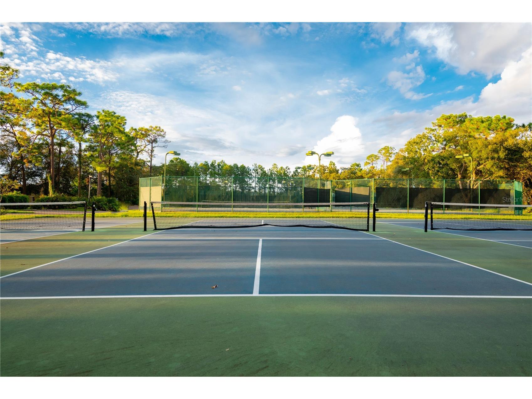 8480 Maybelle Drive Weeki Wachee FL 34613 TB8417651 image52