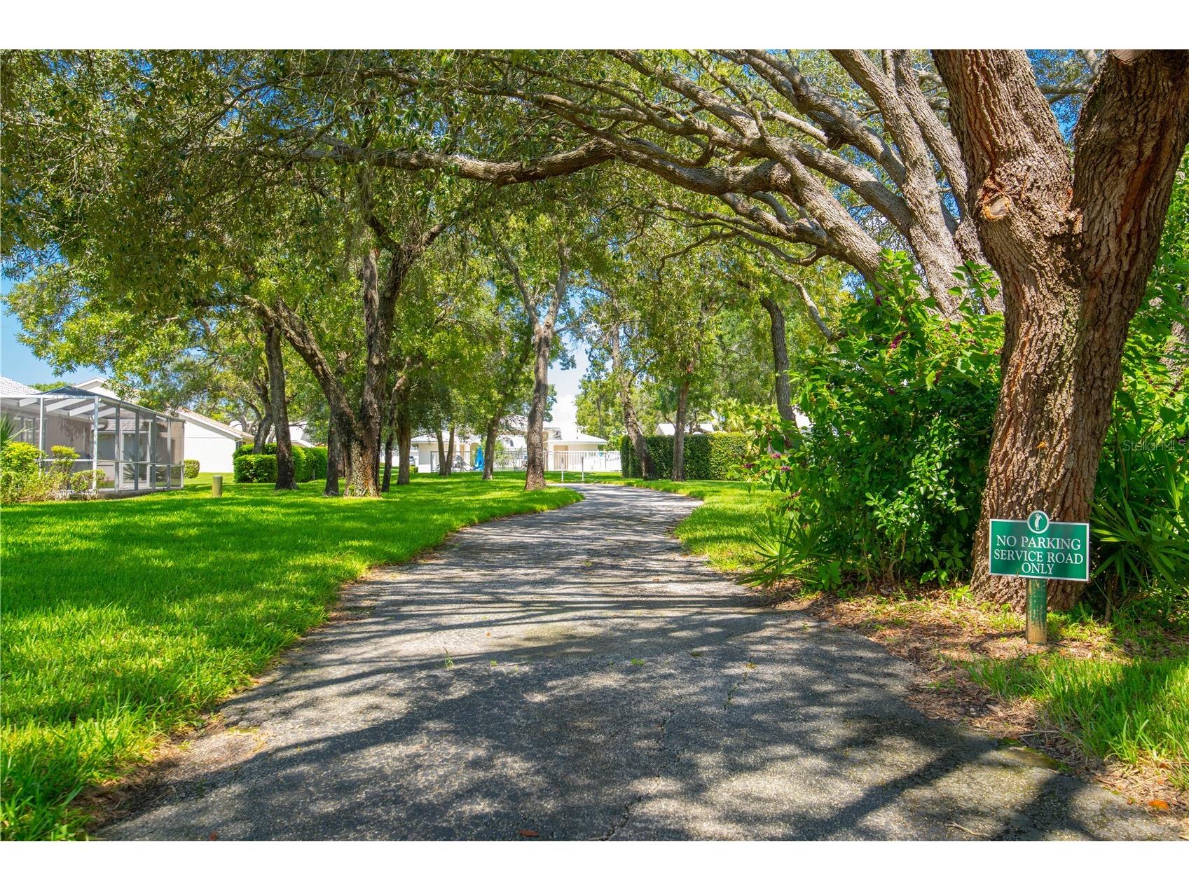 8480 Maybelle Drive Weeki Wachee FL 34613 TB8417651 image53