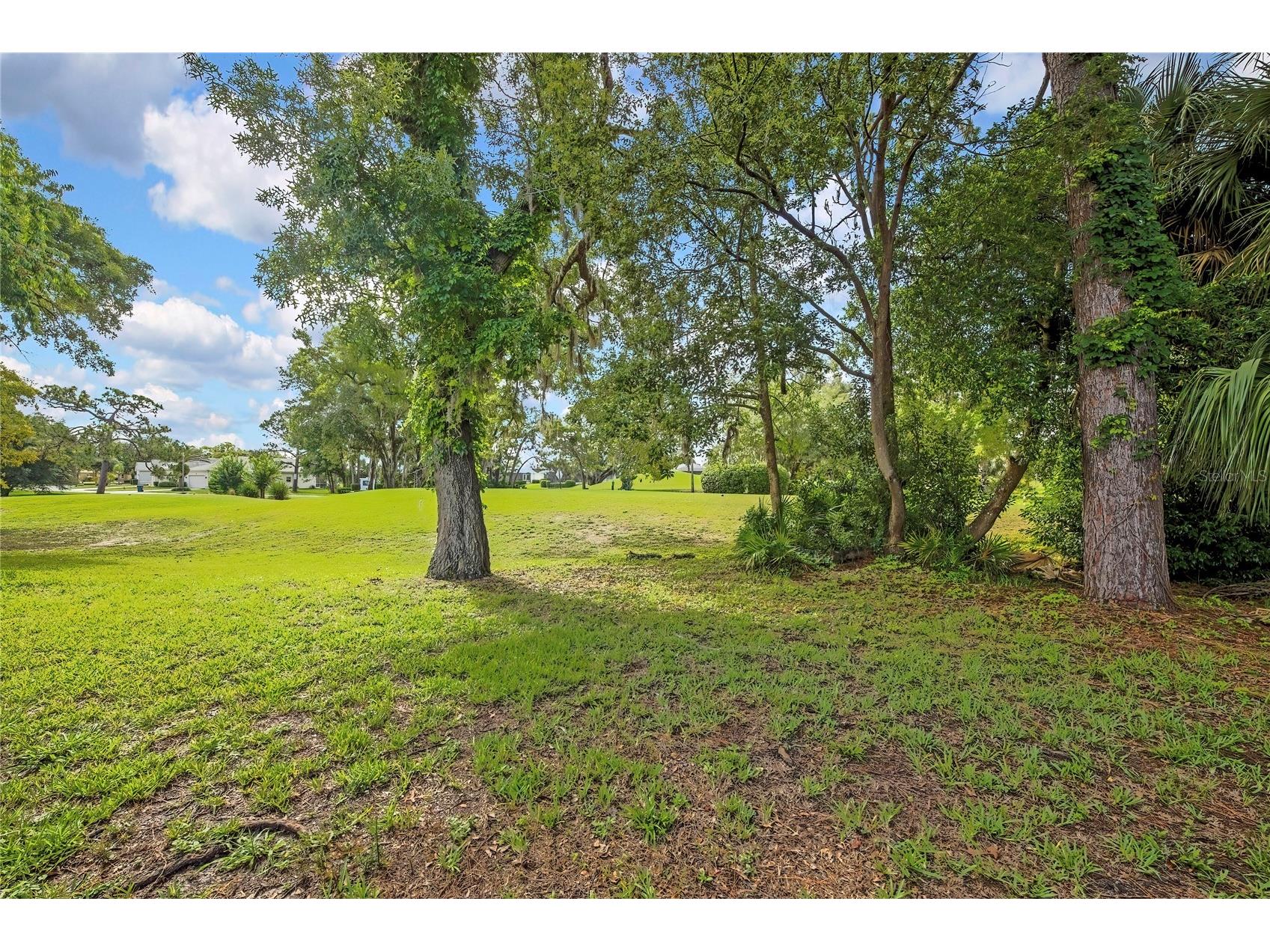 8480 Maybelle Drive Weeki Wachee FL 34613 W7886134 image40