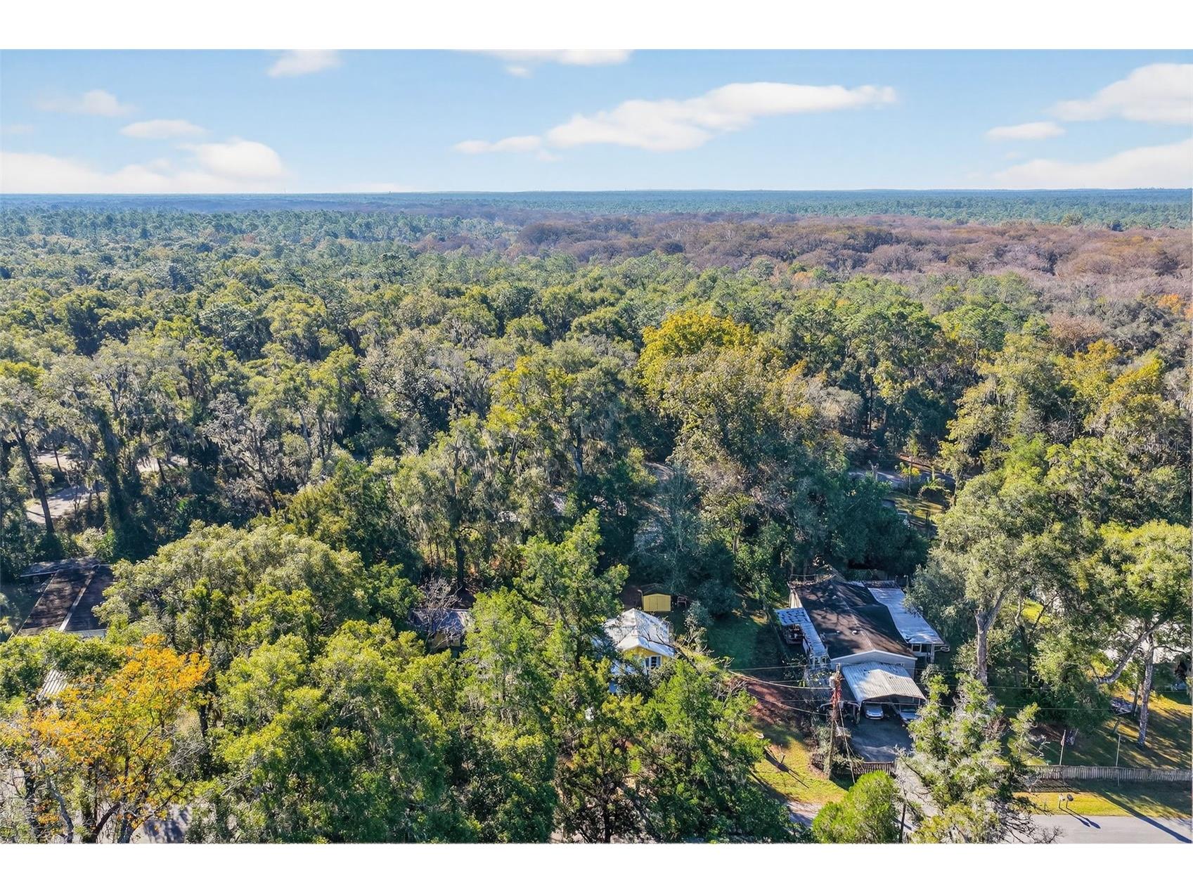 8481 Cr 636 Bushnell FL 33513 - WITHLACOOCHEE RIVER G5105537 image33