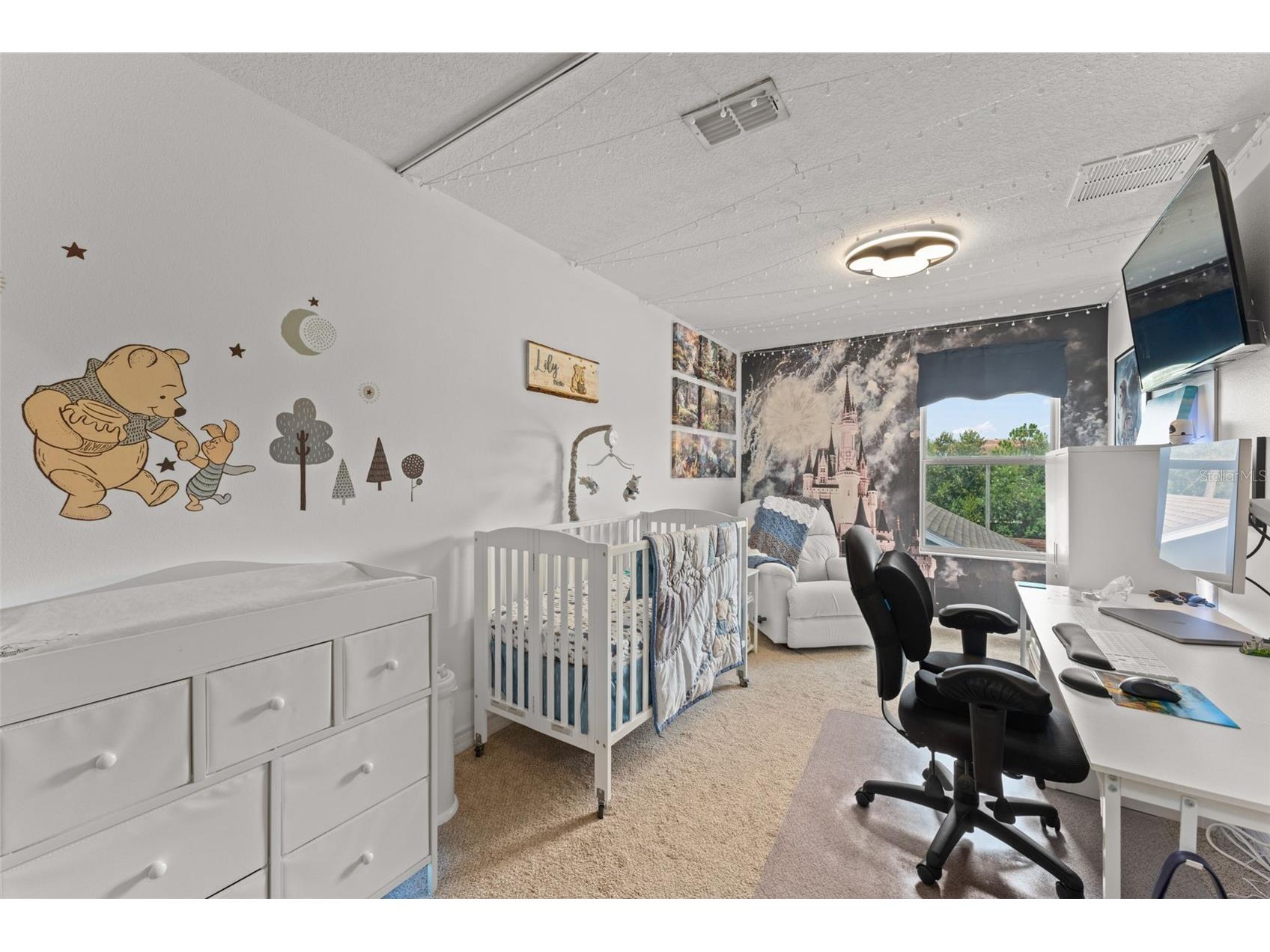 8481 Leeland Archer Boulevard Orlando FL 32836 O6426544 image20