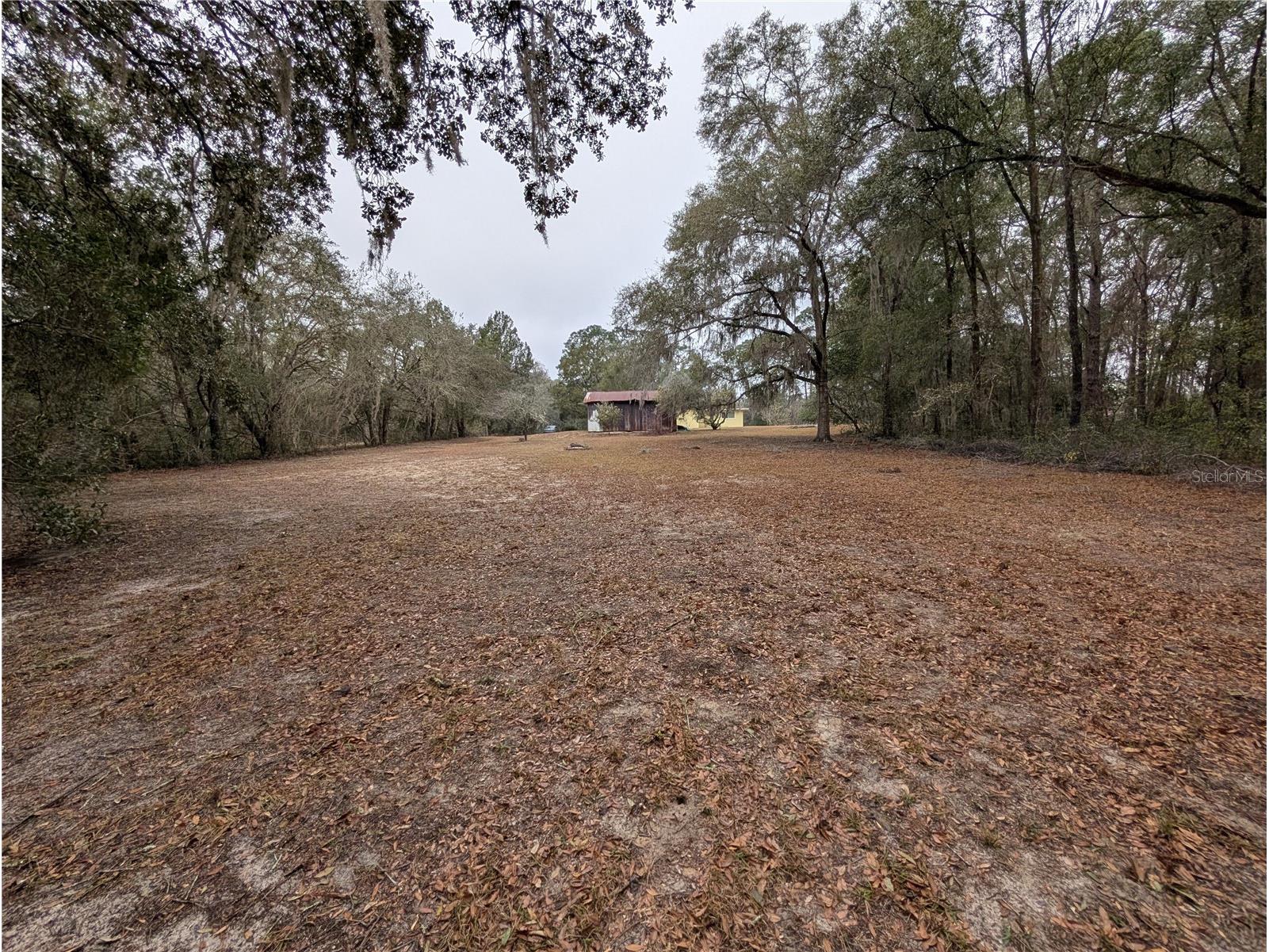 8481 S Great Oaks Drive Floral City FL 34436 W7883587 image31
