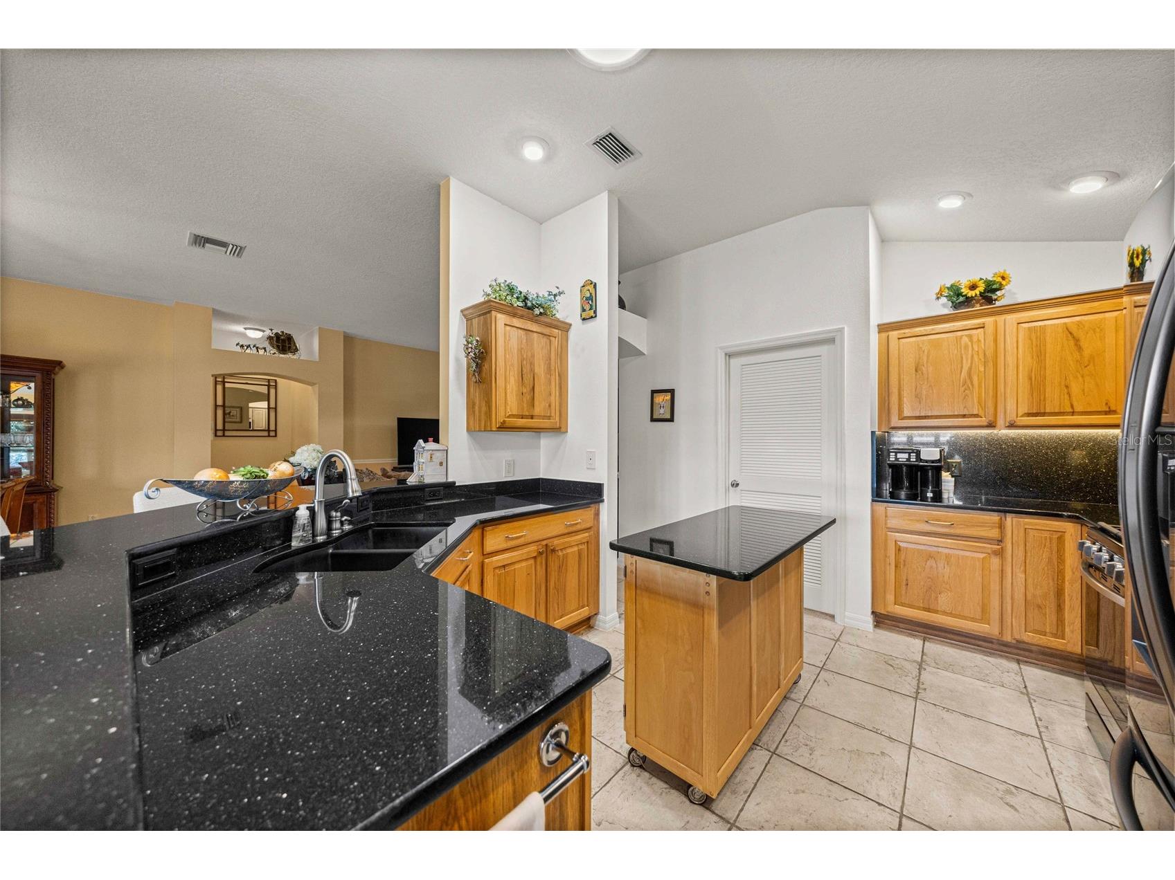 8481 SE 168th Kittredge Loop The Villages FL 32162 - INTERIOR LAKE NANCY LOPEZ TB8524279 image23