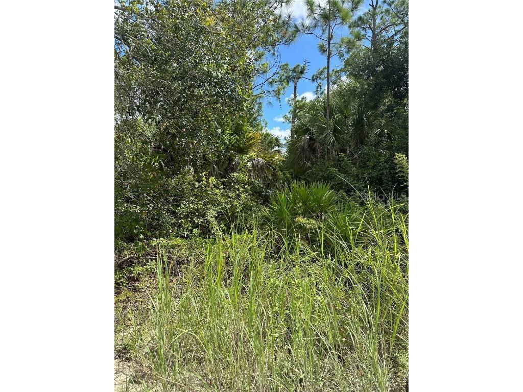 8482 Grove Boulevard Punta Gorda FL 33982 A4624956 image1