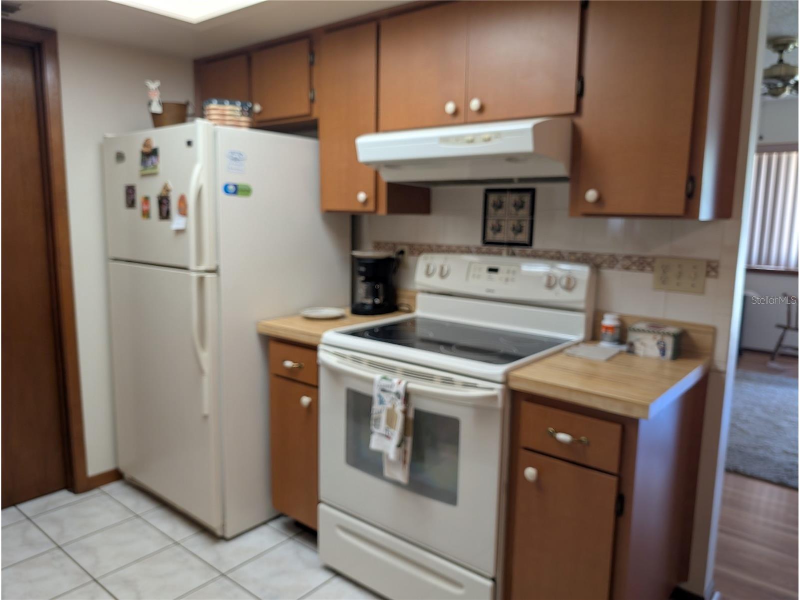 8483 SW 106th Place Ocala FL 34481 OM729064 image4