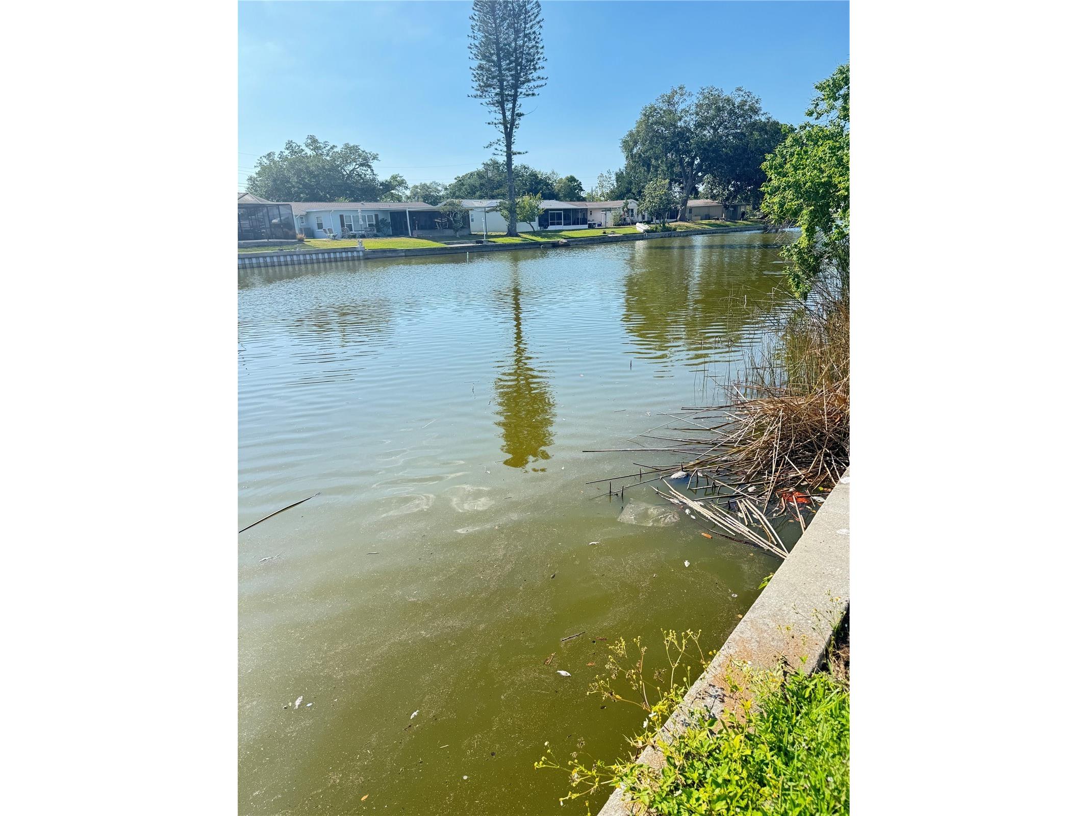 8484 120th Street Seminole FL 33772 TB8484194 image26