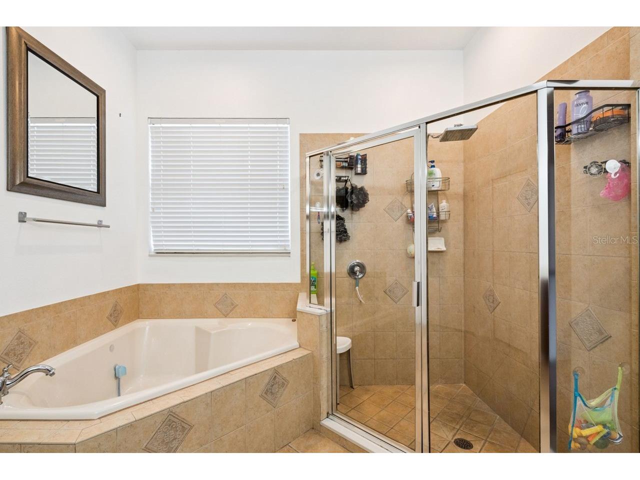 8484 Dover View Lane Orlando FL 32829 O6411293 image22